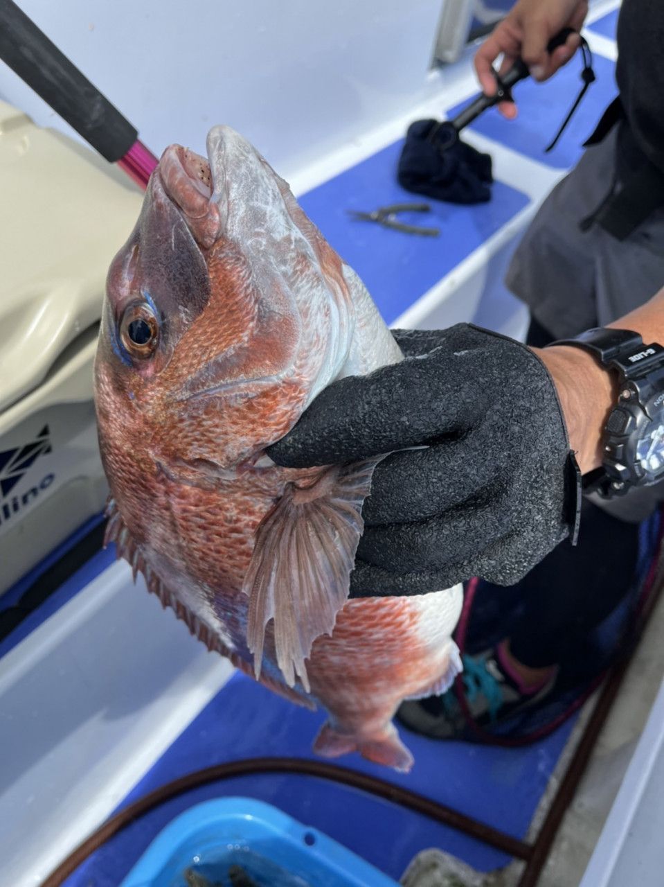 フィッシンググローブ 釣り 釣り人 怪我防止 アウトドア 魚 漁師