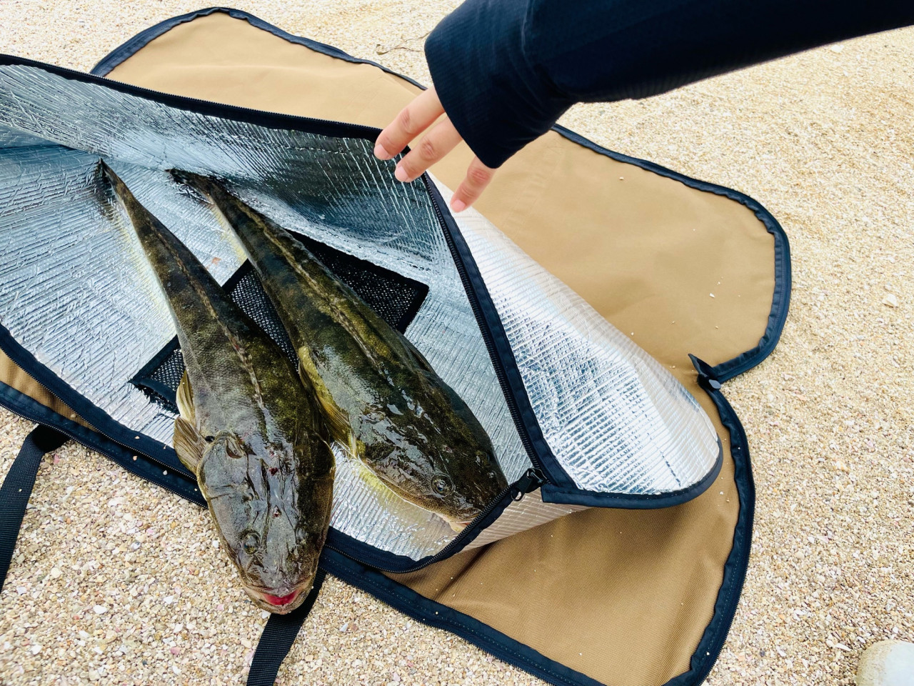 サーフ 釣り ショップ 保冷バッグ